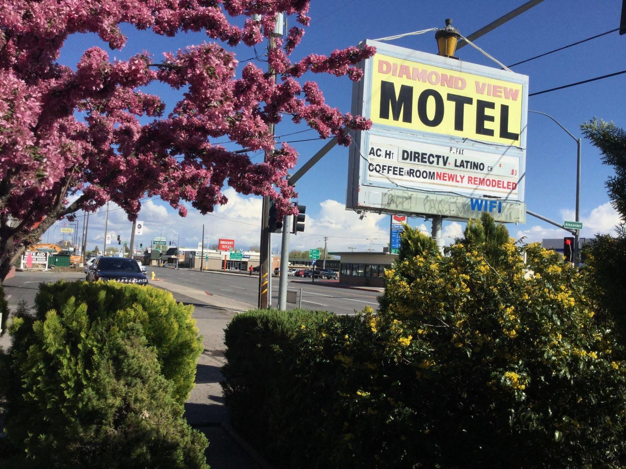Diamond View Motel 苏珊维尔 外观 照片